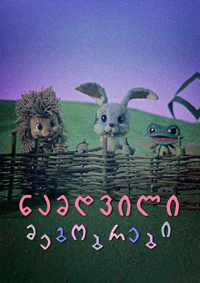 Póster de Namdvili megobrebi