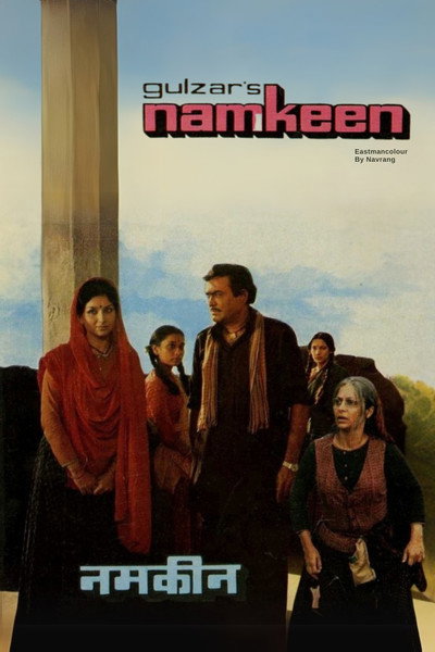 Póster de Namkeen