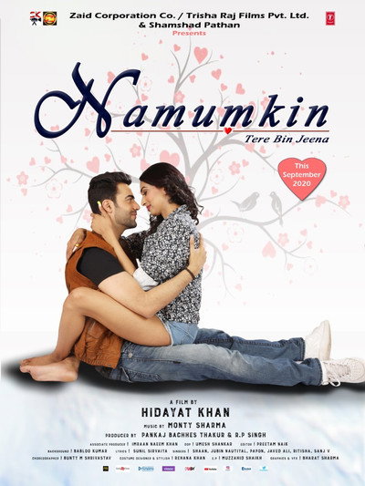 Póster de Namumkin Tere Bin Jeena