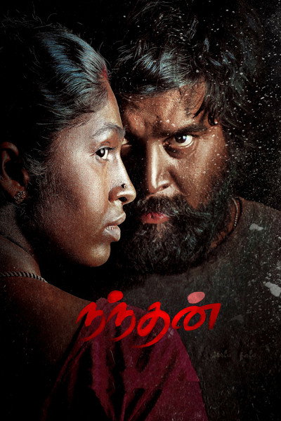 Póster de Nandhan