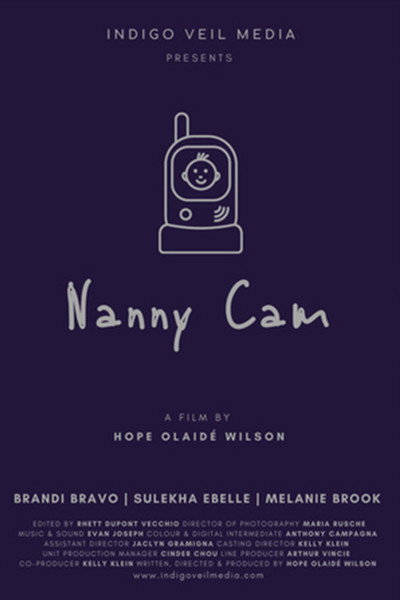 Póster de Nanny Cam