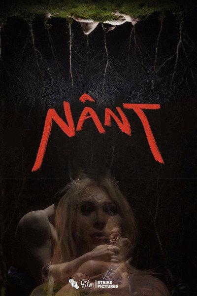 Póster de Nânt