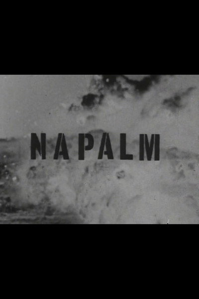 Póster de Napalm
