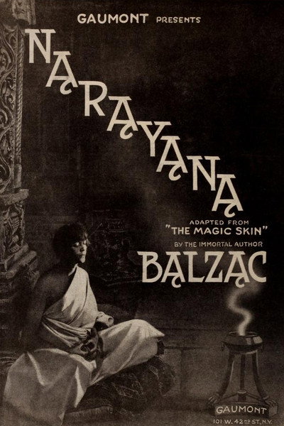 Póster de Narayana