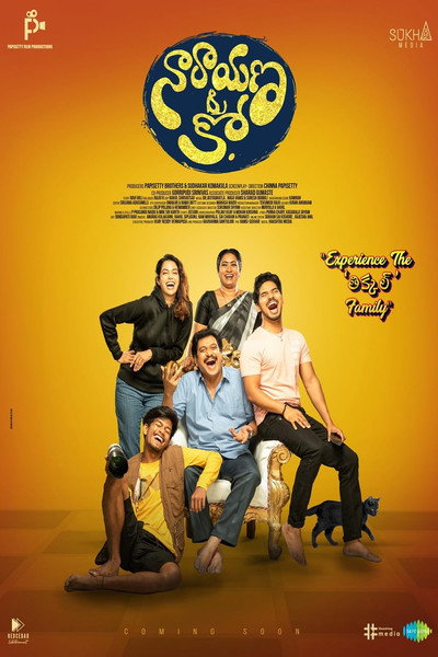 Póster de Narayana & Co