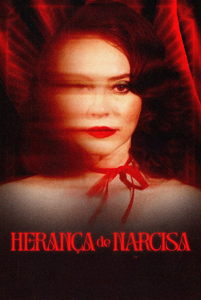Póster de Narcisa's Will