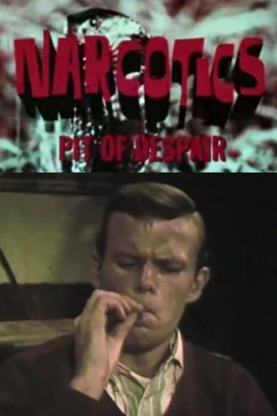 Póster de Narcotics: Pit of Despair