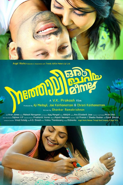 Póster de Natholi Oru Cheriya Meenalla