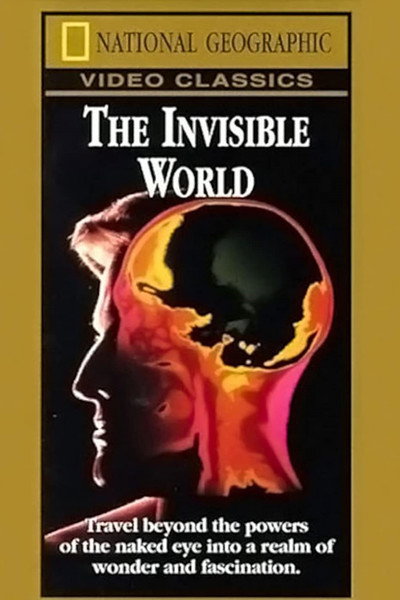 Póster de National Geographic: The Invisible World