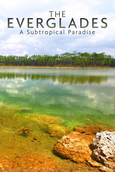 Póster de National Parks Exploration Series: The Everglades - A Subtropical Paradise