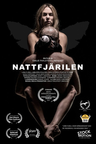 Póster de Nattfjärilen