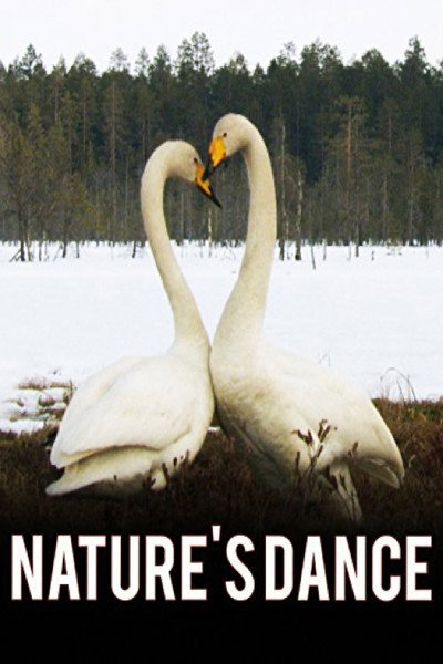 Póster de Nature's Dance