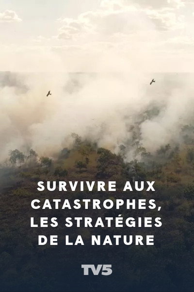 Póster de Nature's Survivors