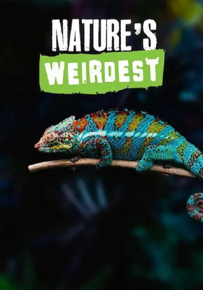 Póster de Nature's Weirdest