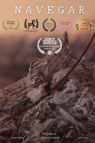 Póster de Navegar