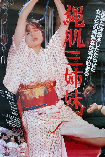 Póster de Nawa hada san shimai