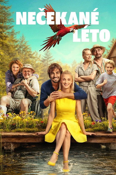 Póster de Necekané léto