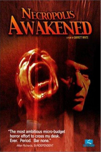 Póster de Necropolis Awakened