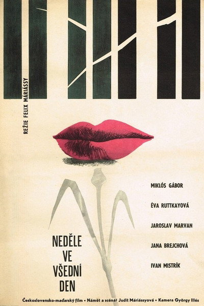 Póster de Nedele ve vsední den