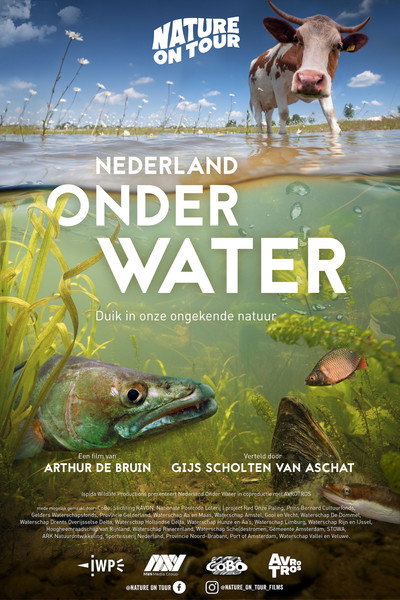 Póster de Nederland onder water