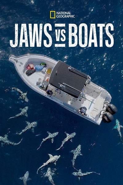 Póster de Need A Bigger Boat