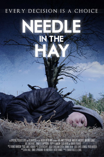 Póster de Needle in the Hay