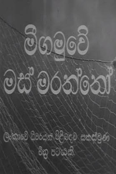 Póster de Negombo