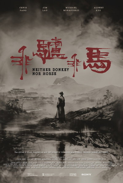 Póster de Neither Donkey Nor Horse