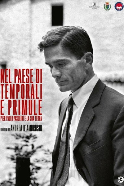 Póster de Nel paese dei temporali e delle primule