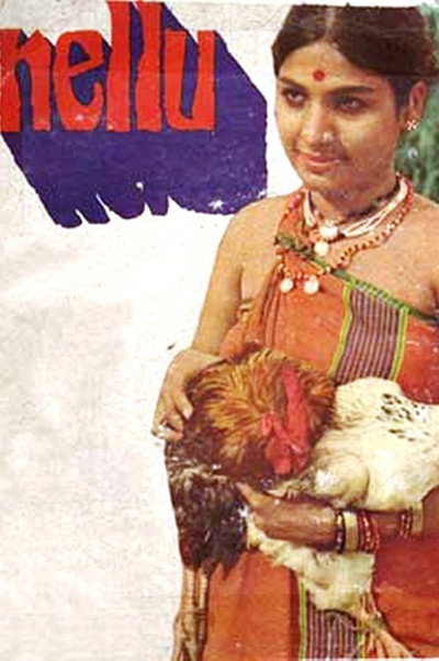 Póster de Nellu