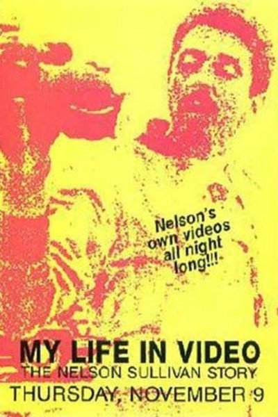 Póster de Nelson Sullivan's Video Diaries