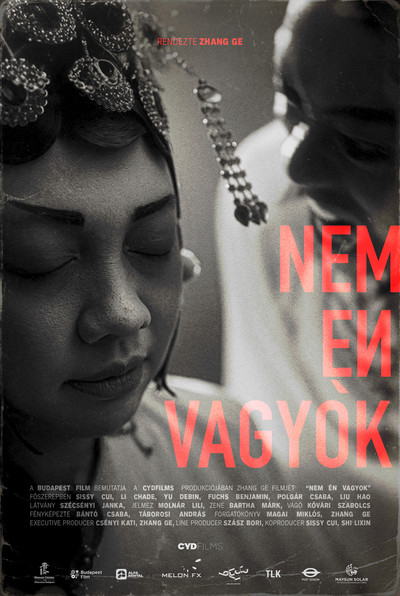 Póster de Nem Én Vagyok