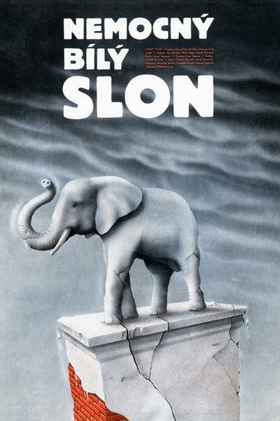 Póster de Nemocný bílý slon