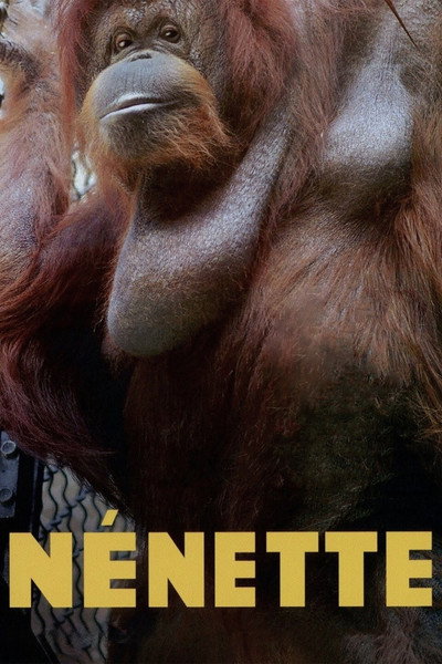 Póster de Nénette