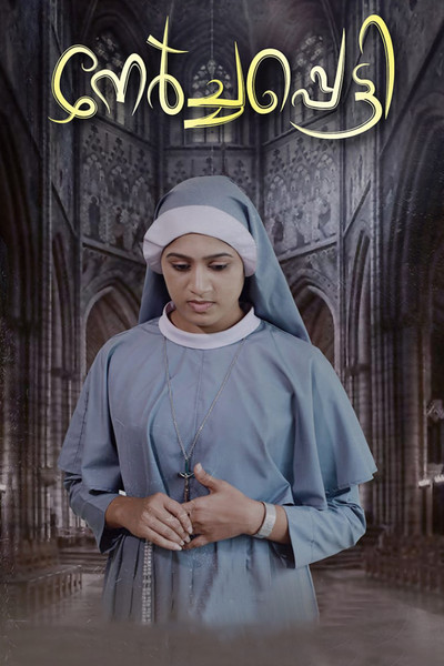 Póster de Nerchappetty