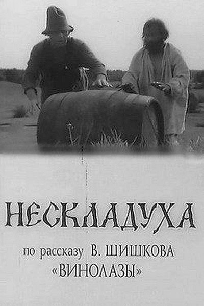 Póster de Neskladuha