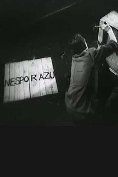 Póster de Nesporazum