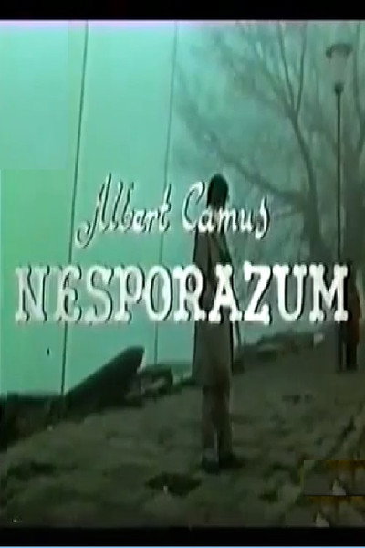 Póster de Nesporazum