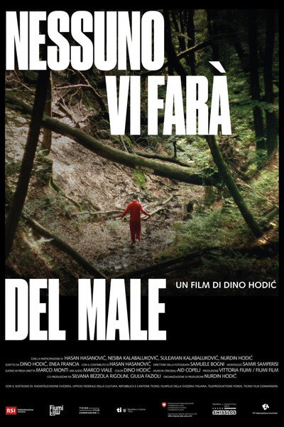 Póster de Nessuno vi farà del male