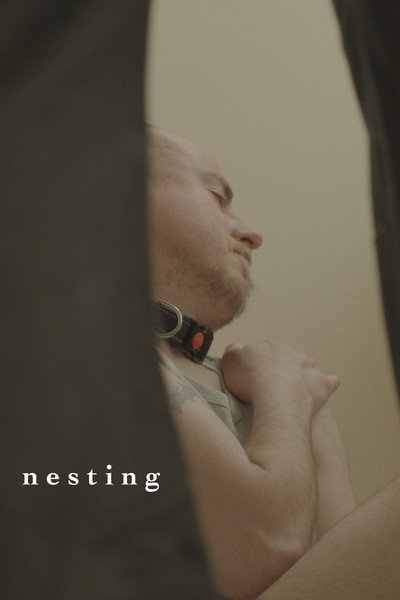 Póster de Nesting