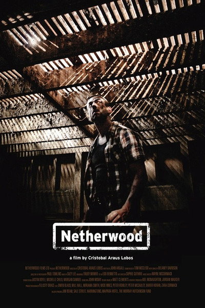 Póster de Netherwood
