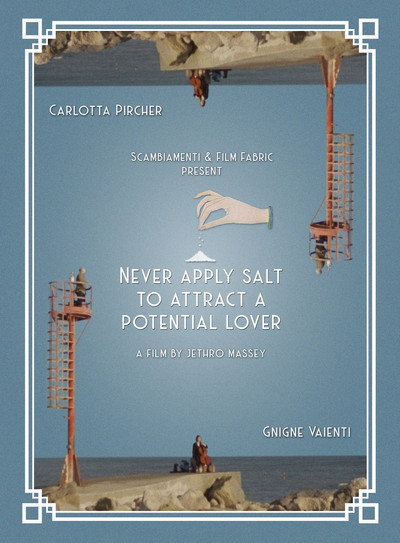 Póster de Never Apply Salt to Attract a Potential Lover