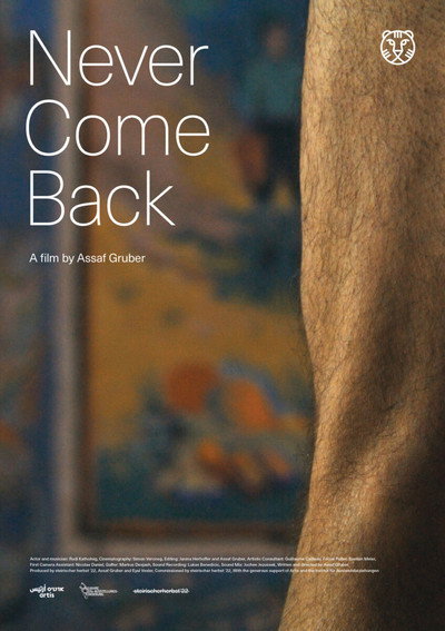 Póster de Never Come Back