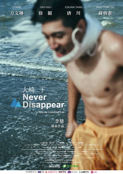 Póster de Never Disappear