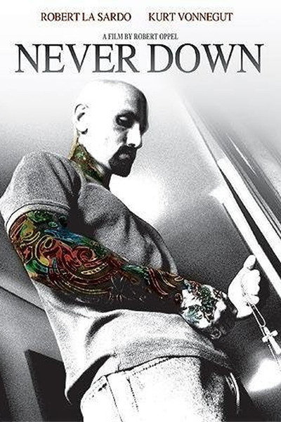 Póster de Never Down