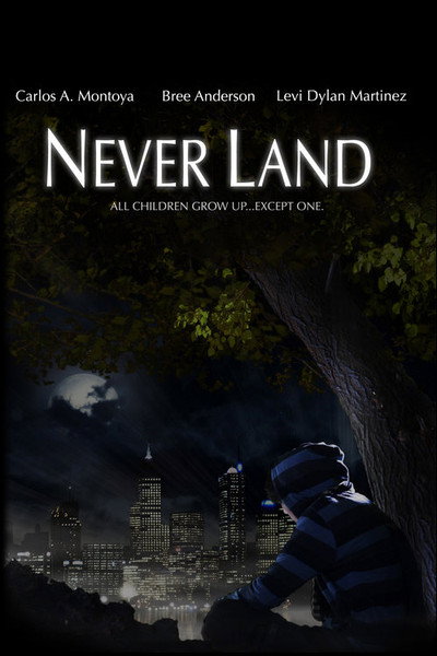 Póster de Never Land