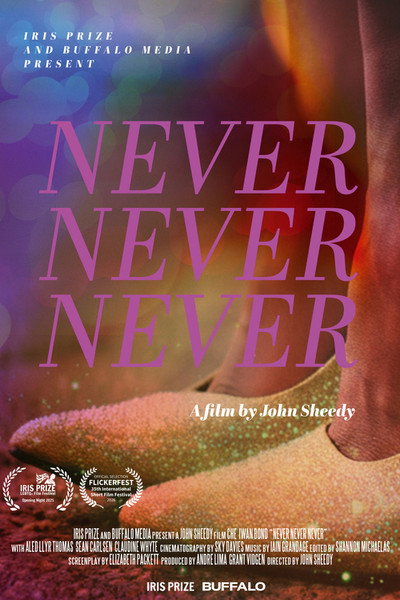 Póster de Never Never Never