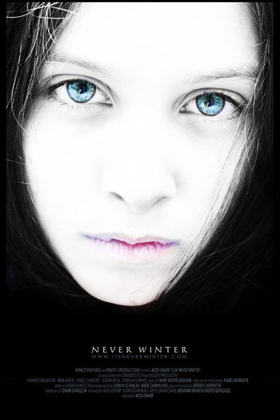 Póster de Never Winter