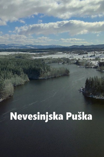 Póster de Nevesinjska puska
