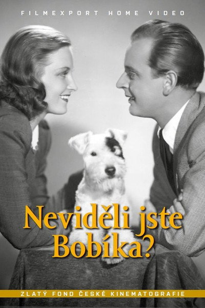 Póster de Nevideli jste Bobíka?